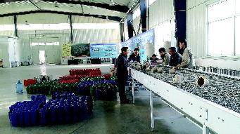 秸杆变花盆 环保又实用——生物基材料技术研发的绿色革命