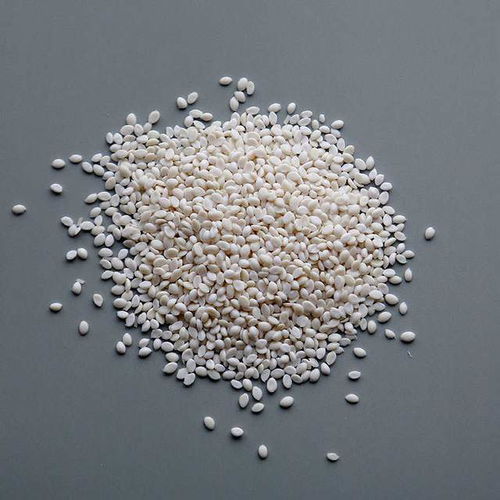 生物基材料 科技竞赛的制高点与绿色转型的枢纽