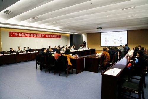 生物基可降解聚酯橡胶材料研发获突破，绿色科技引领可持续发展新篇章