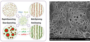宁波材料所生物基化学纤维制备技术研究获系列进展